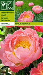 Божур Pink Hawaiian (ароматен)